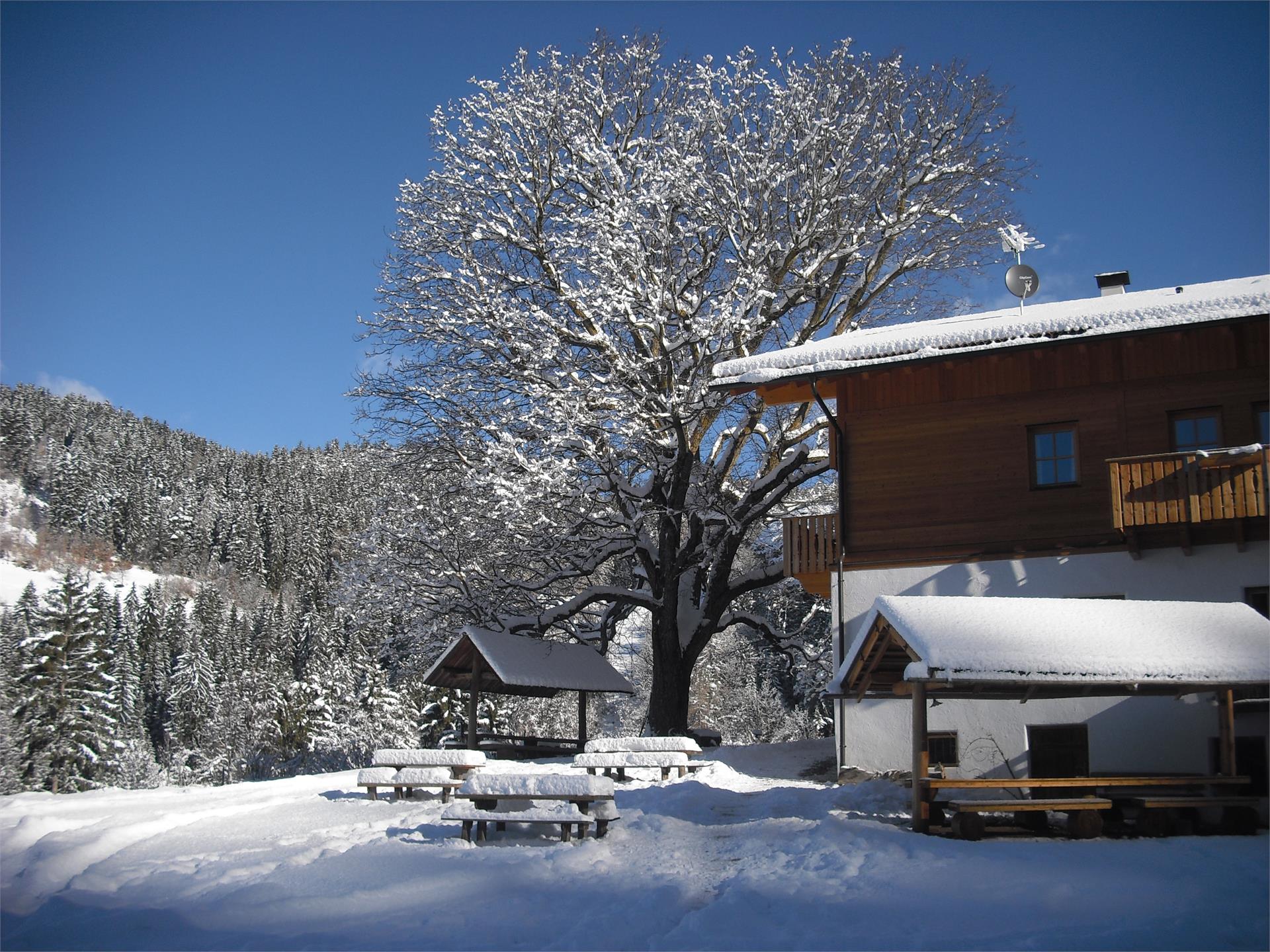 Winter excursion Salonetto - Schlaneid - Bacherhof - St. Ulrich