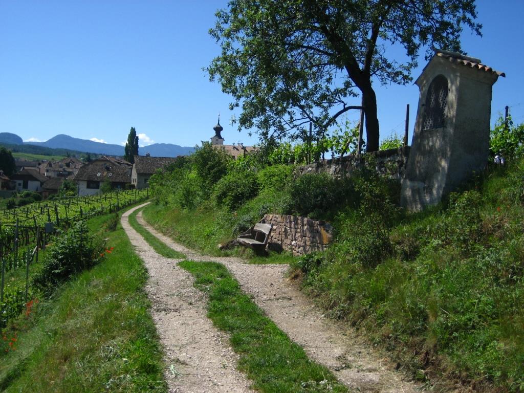 Sentiero enodidattico a Cornaiano