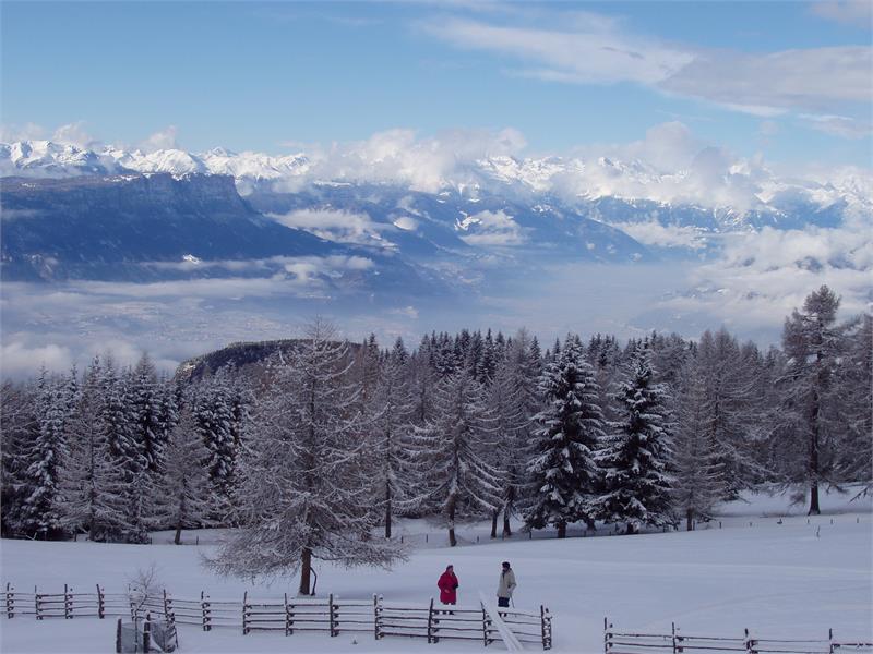 winter - panorama