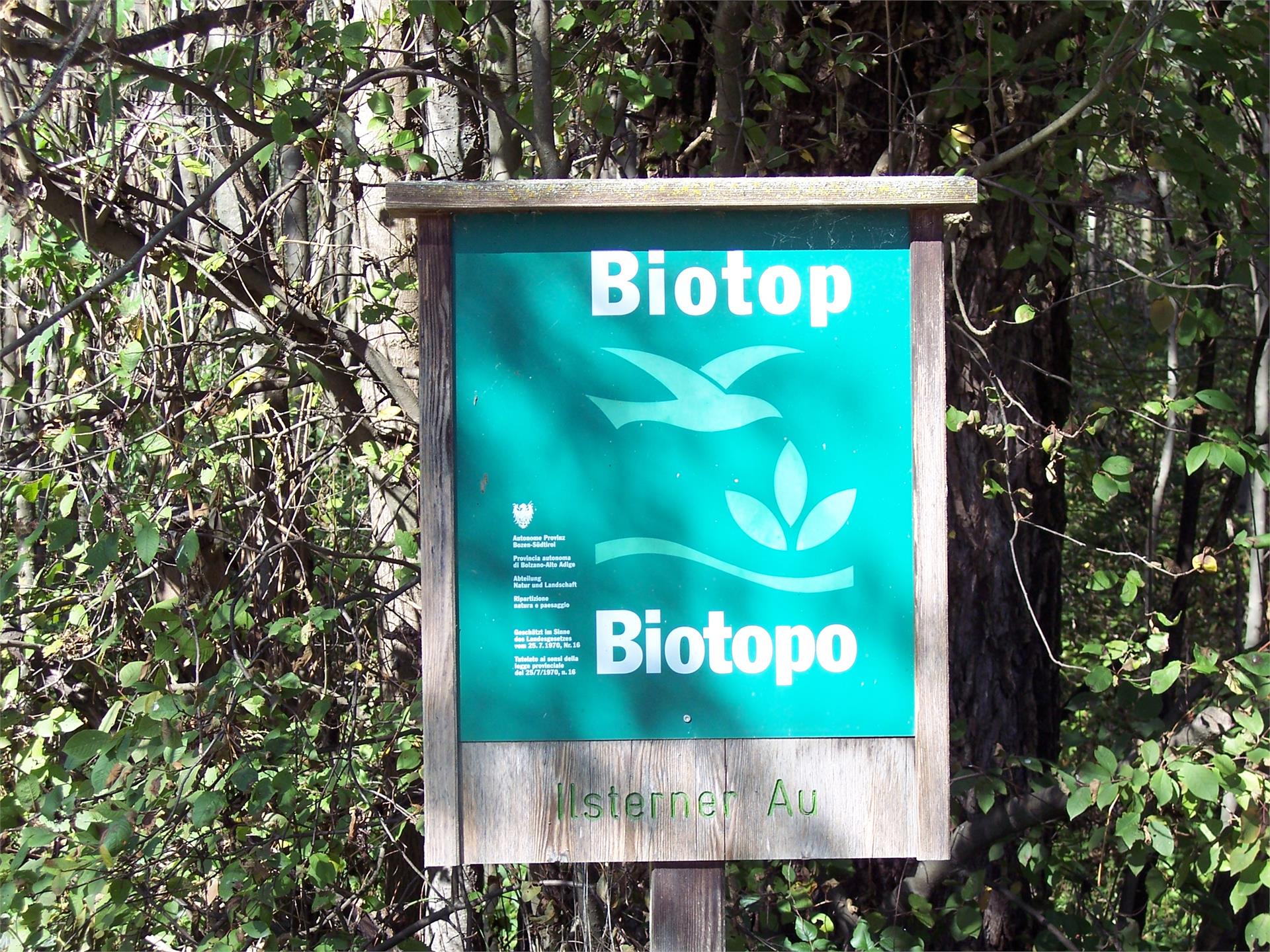 Biotop Ilstern