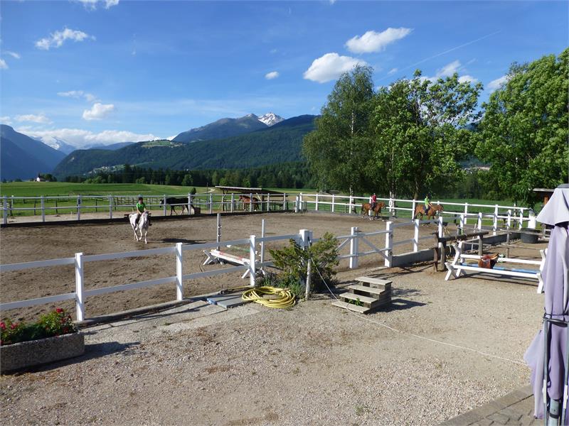 Horse Farm Lechnerhof