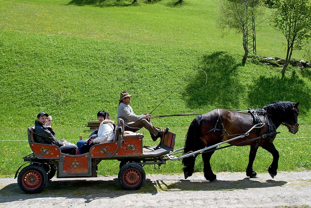 Horse carriage and sleigh rides Obergruberhof