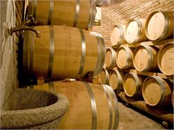 Winery Castelfeder