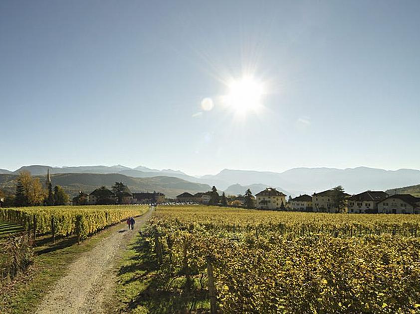 Castel Sallegg wine trail in Caldaro