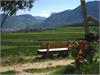Blick über das Weinbaugebiet Eppan