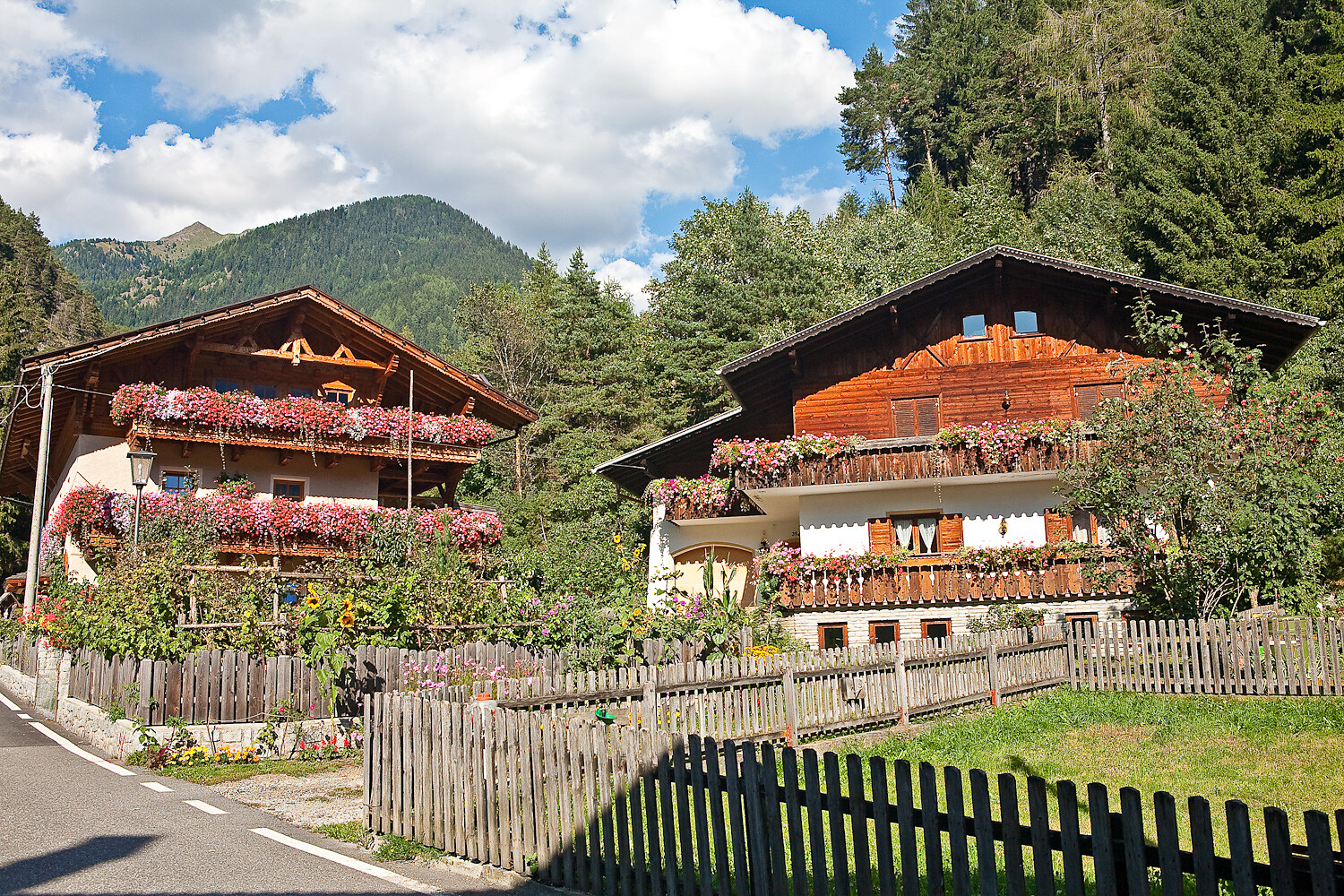 Romedisteig trail
