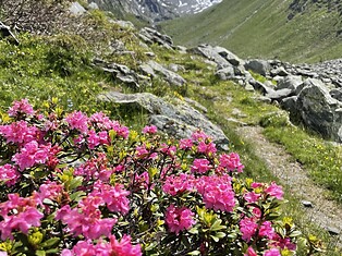 Rifugio Giogo Lungo