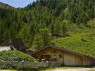 Bärentalalm