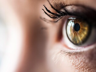 Oberkofler Mediendesign