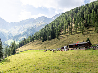 Mair am Tinkhof Alm - Werbestudio Klara&Daniel