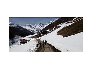 Bergmeisteralm