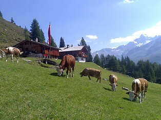 Fuchsalm Hut