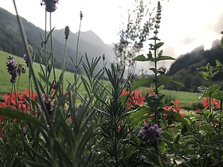 Meggima am See