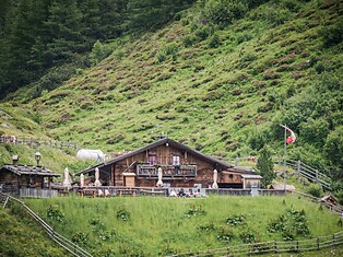 Malga Knutten Alm Rein in Taufers Riva di Tures