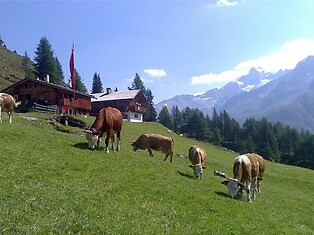 Fuchsalm