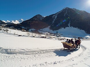 Pferdeschlittenfahrten Obergruberhof