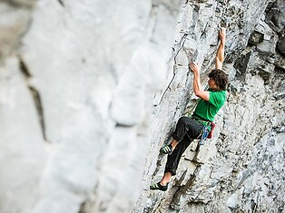Climbing garden