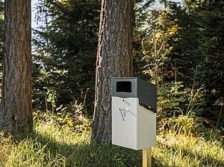 Toilette cane Neumann Waldile