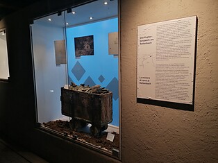 Esposizione Pfisterhaus