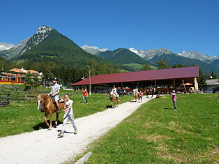 Herberts Riding stable