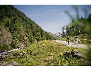 Malga Knutten Alm Rein in Taufers Riva di Tures