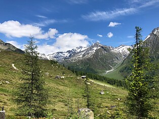 Fuchsalm malga Casere