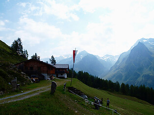 Fuchsalm