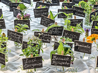 Kräuterrestaurant Arcana - Wildkräuter