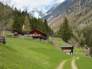 Riesa Alm