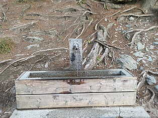 TV Sand
