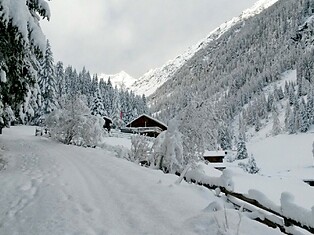 Riesa Alm