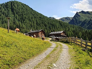 Innerhoferalm Sommer