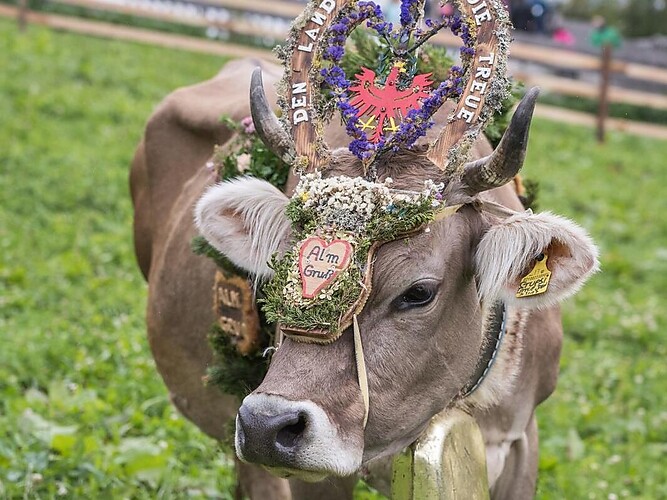 Festa della transumanza a Telves