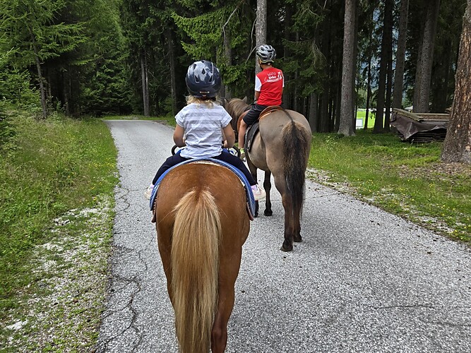 Giro in pony al maso Blosegghof