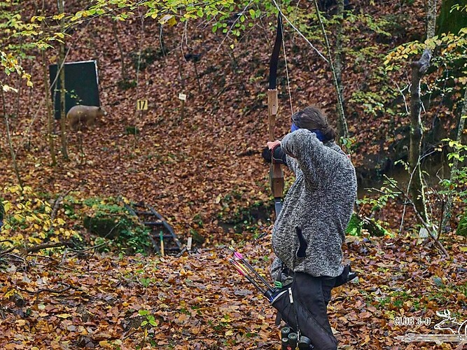 Zielgenau ins Abenteuer – Bogenschießen in der Natur