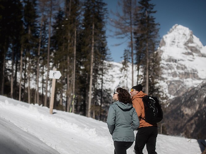 Guided snowshoe hike in Ladurns