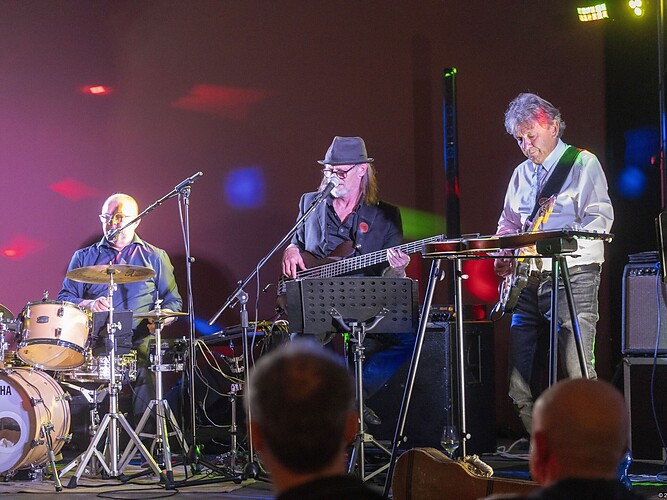 COLOR DAYS - The Incredible Southern Blues Band (AUT/ITA) feat.