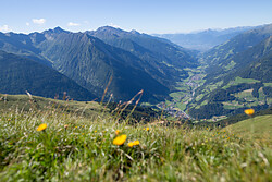Urlaub auf dem Bauernhof Chalet Greiterhof