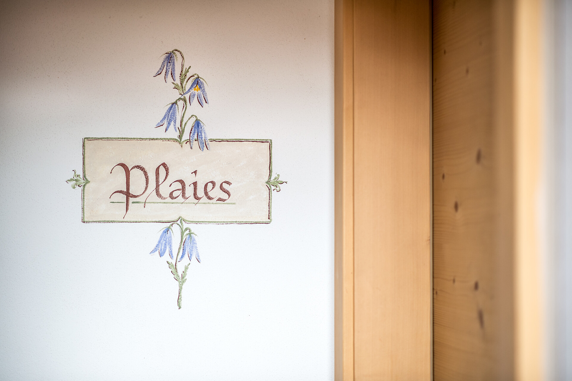 Plaies
