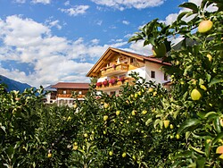 Kiendlhof