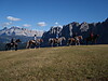 Tv San Vigilio-San Martin