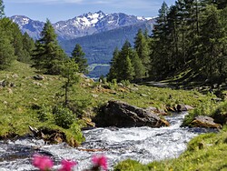 Auf stillen Wegen – Wanderung über den Neuwaal ins Schlandrauntal