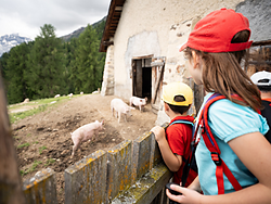 Escursione alla malga per le famiglie