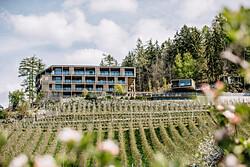 Panoramic Suites Winzerhöhe