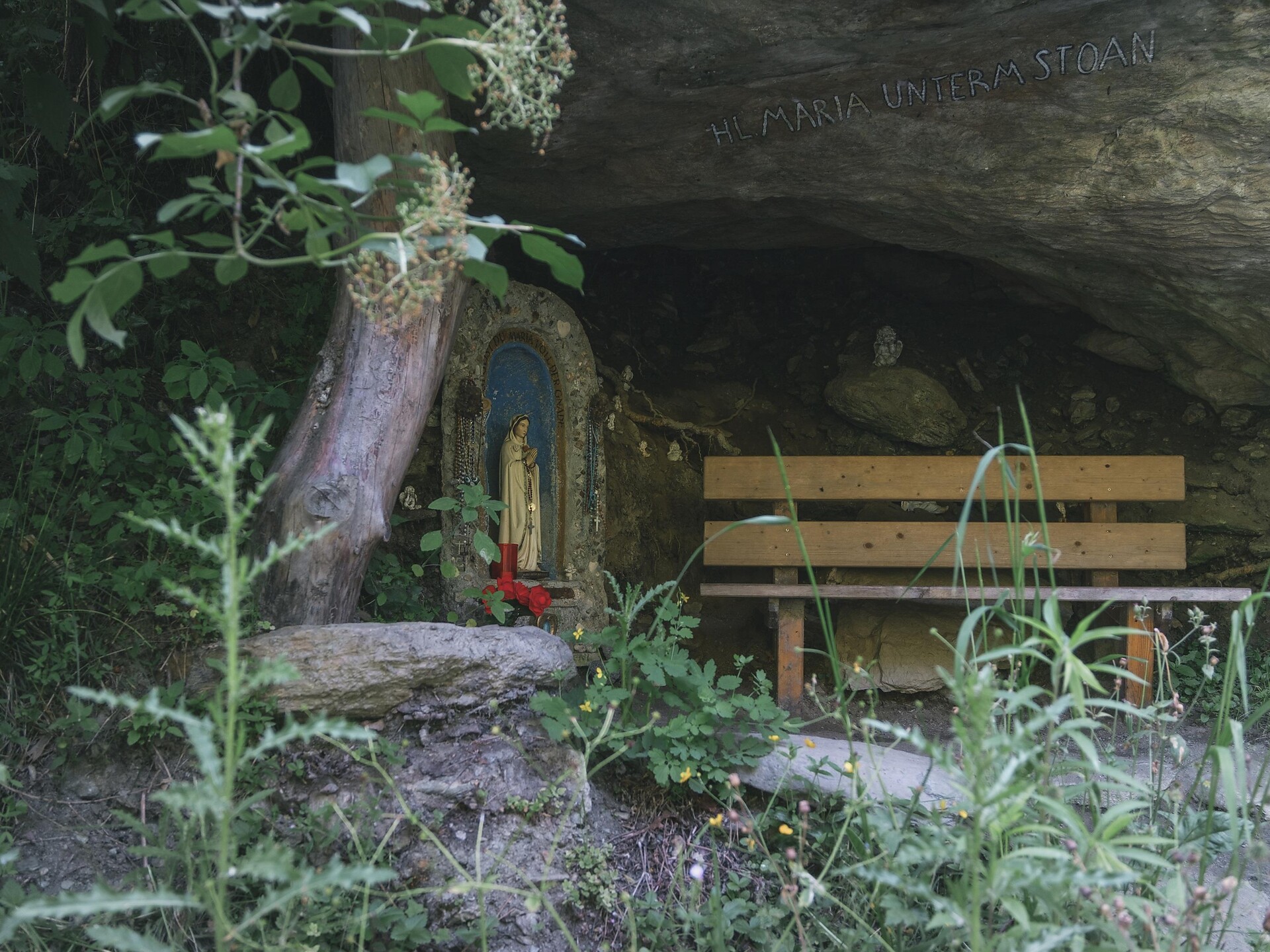 Nature, farm & flavour - Tschoggler farm