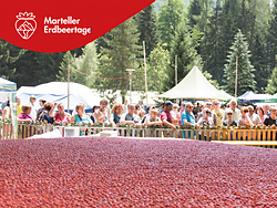 Strawberry Festival
