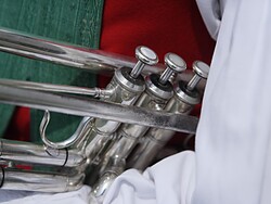 Wishes for the new year from the