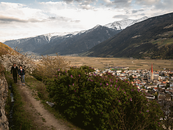 Afternoon Hike: discover the blooming Surroundings of Silandro-Lasa