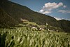 TG Sterzing PFitsch Freienfeld