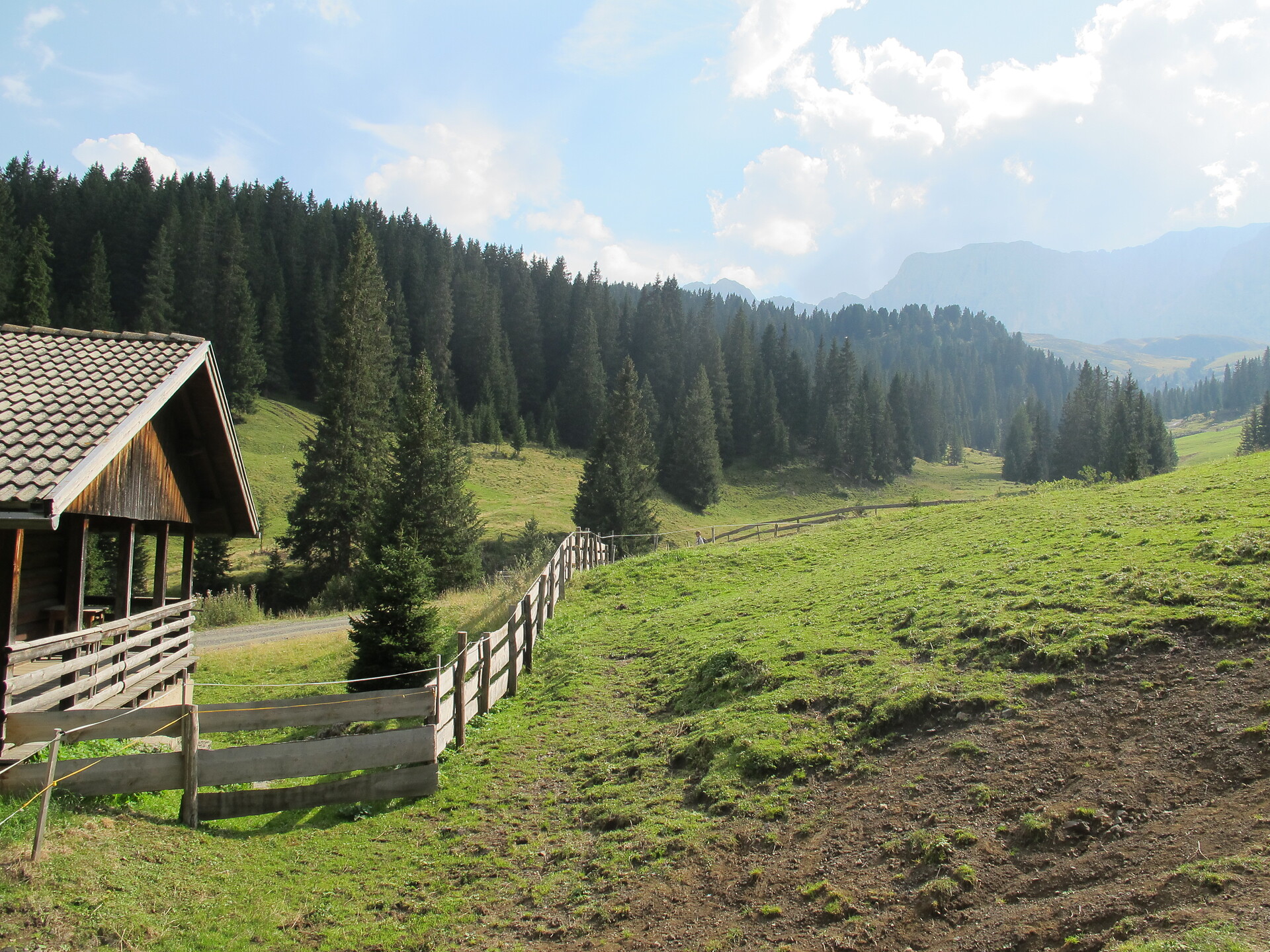 Mountain hut Malfertheiner Schwaige - Dolomites Region Seiser Alm - #3 - suedtirol.info